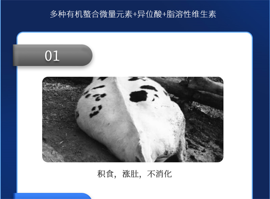 һţӼţ׳챦Ʒ