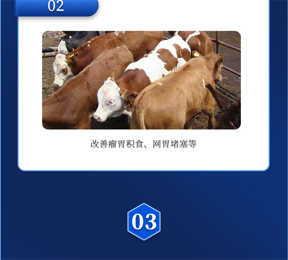 һţӼţ׳챦Ʒ