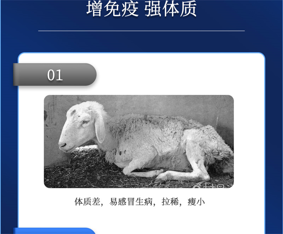 һţӼţ׳챦Ʒ