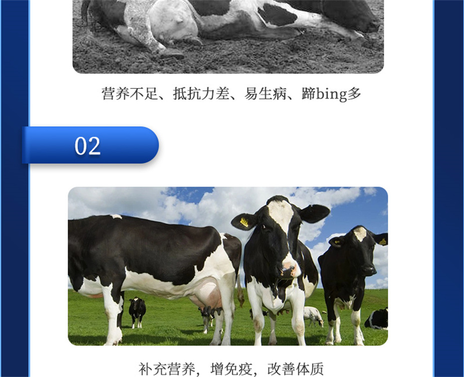 һţӼţƷ