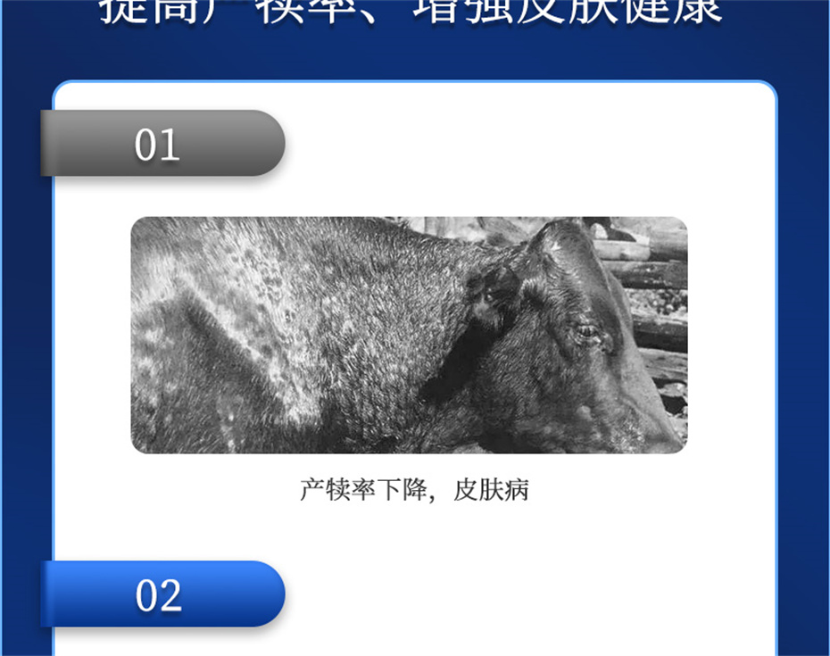 һţӼѪţƷ