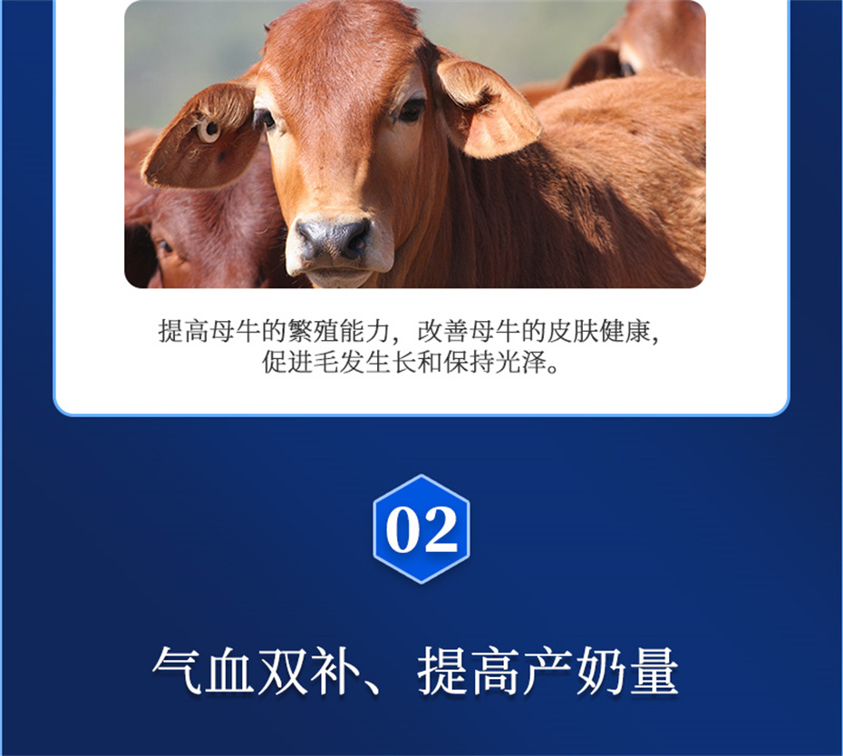 һţӼѪţƷ