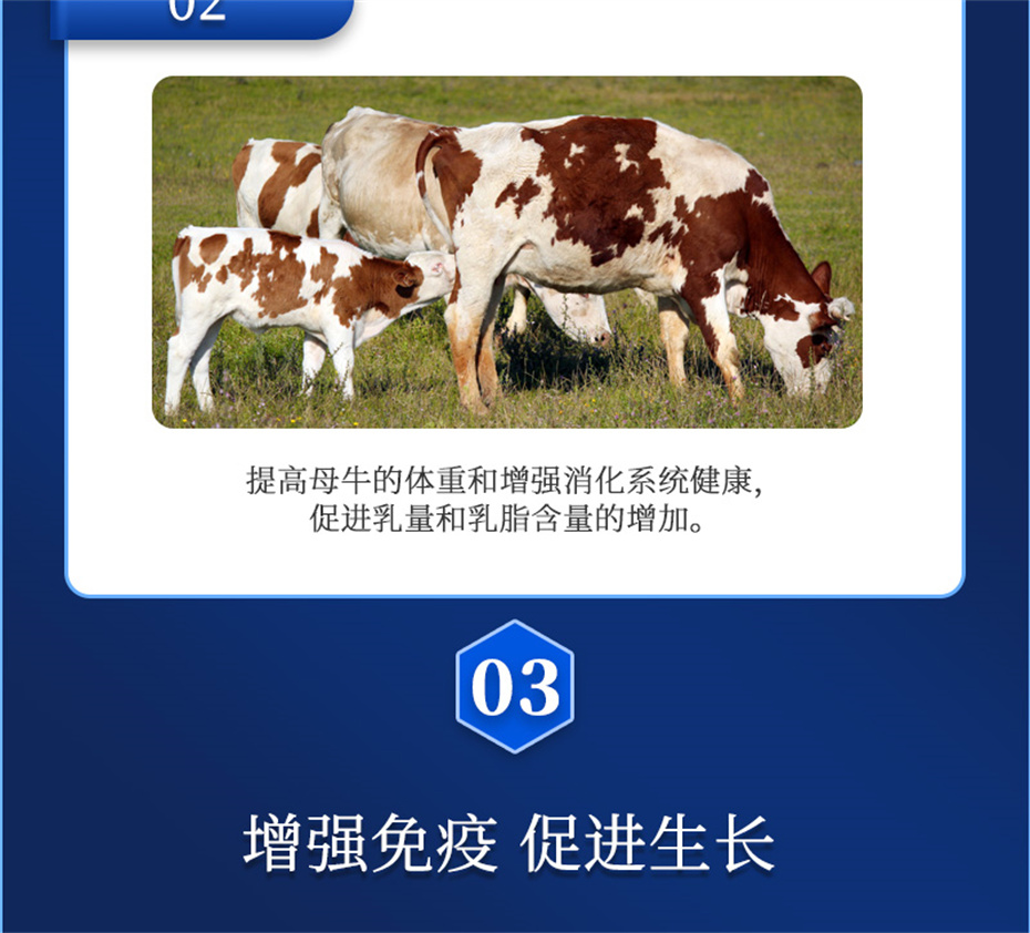 һţӼѪţƷ
