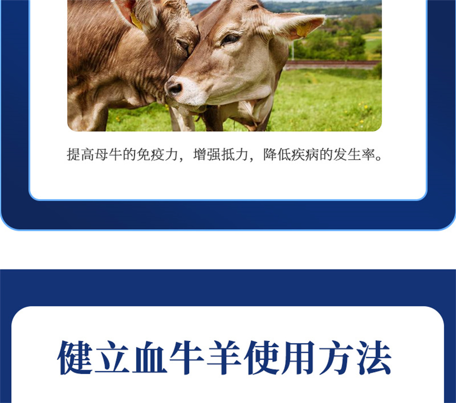 һţӼѪţƷ