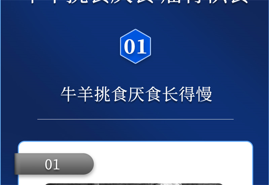 һţӼţ׳챦Ʒ