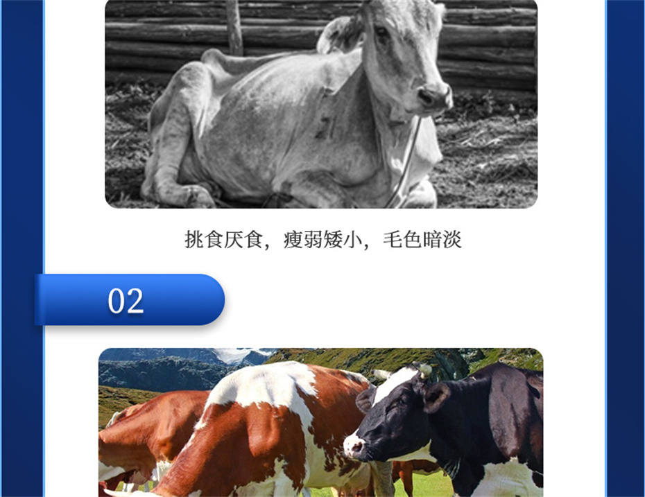 һţӼţ׳챦Ʒ