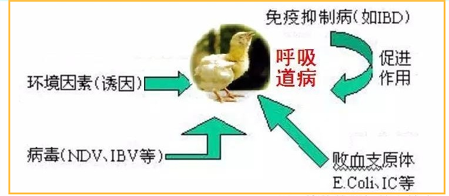 Ԥۺ