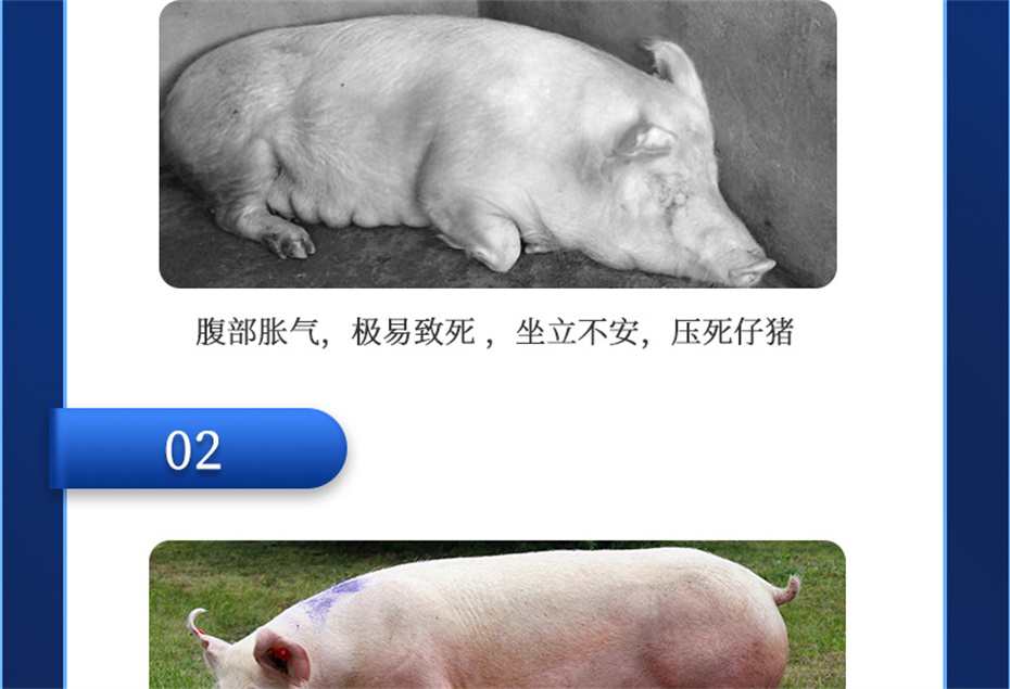 һӼĸͨƷ