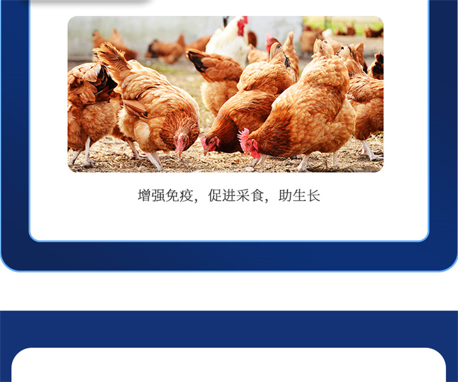 һӼѪݲƷ