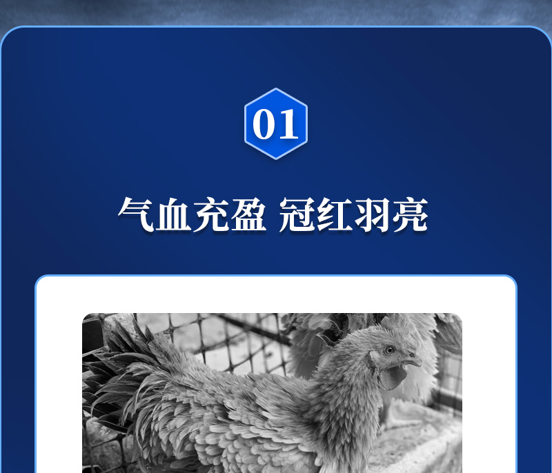 һӼɫƷ