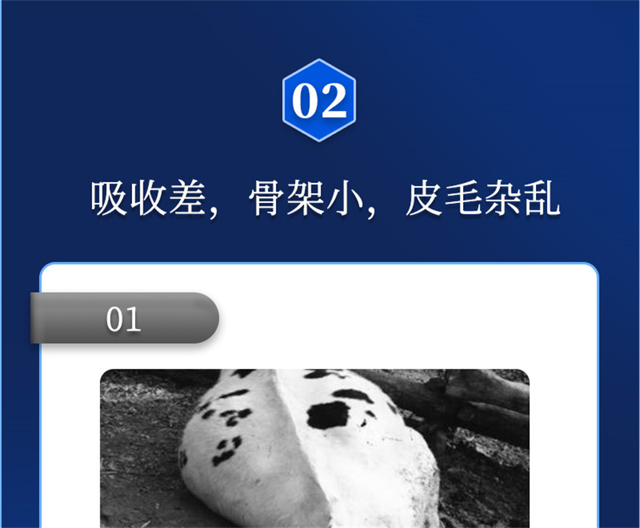 һţӼţԪ˧Ʒ
