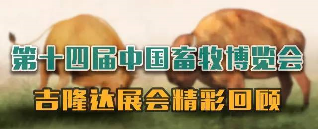 һչй