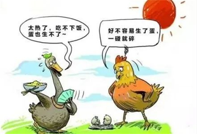 Ӧ