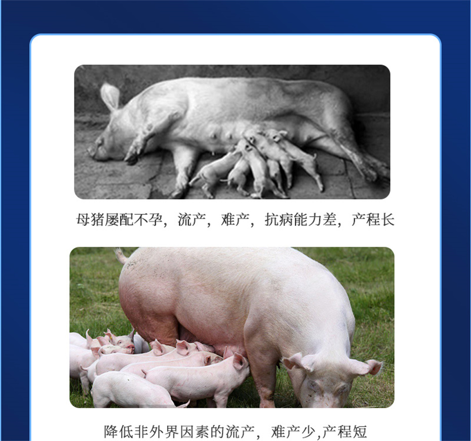 һӼѪƷ