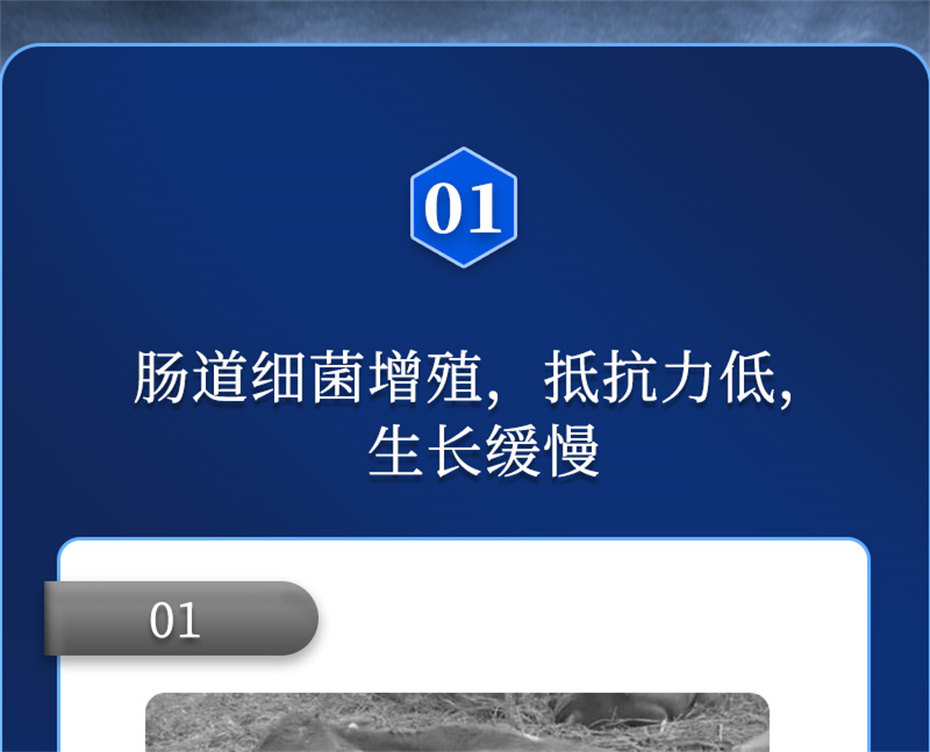 һӼŶĲƷ