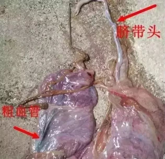 жĸǷ1ͷ